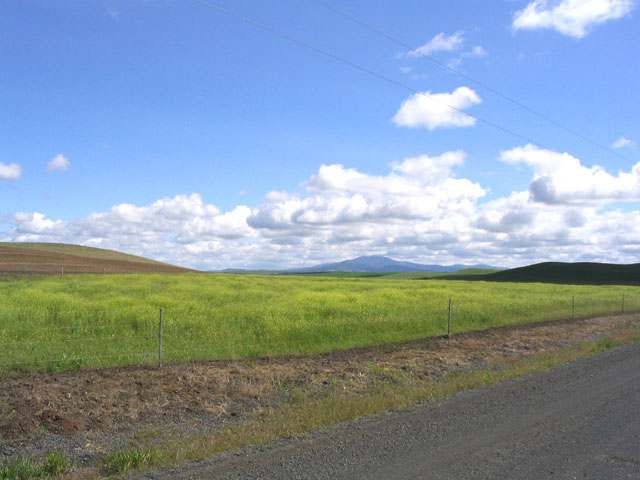 3400 East Watt Road Spangle, WA 99031 - Photo 1 of 9