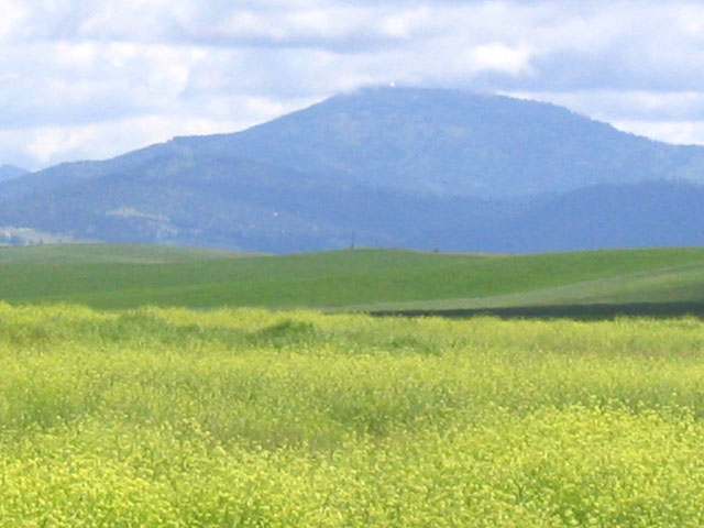 3400 East Watt Road Spangle, WA 99031 - Photo 2 of 9
