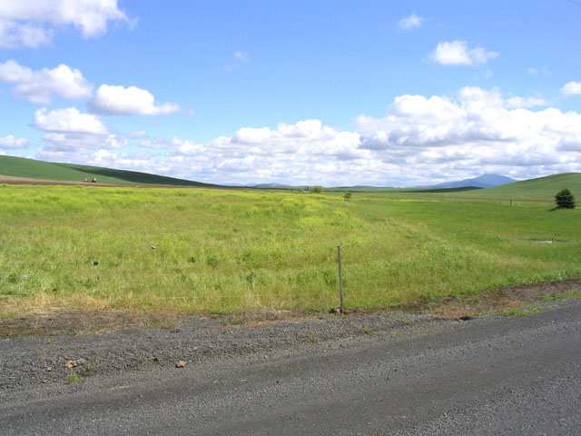 3400 East Watt Road Spangle, WA 99031 - Photo 3 of 9