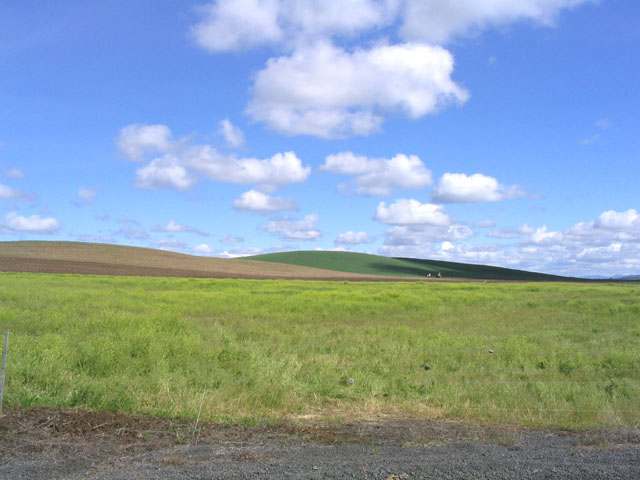 3400 East Watt Road Spangle, WA 99031 - Photo 9 of 9