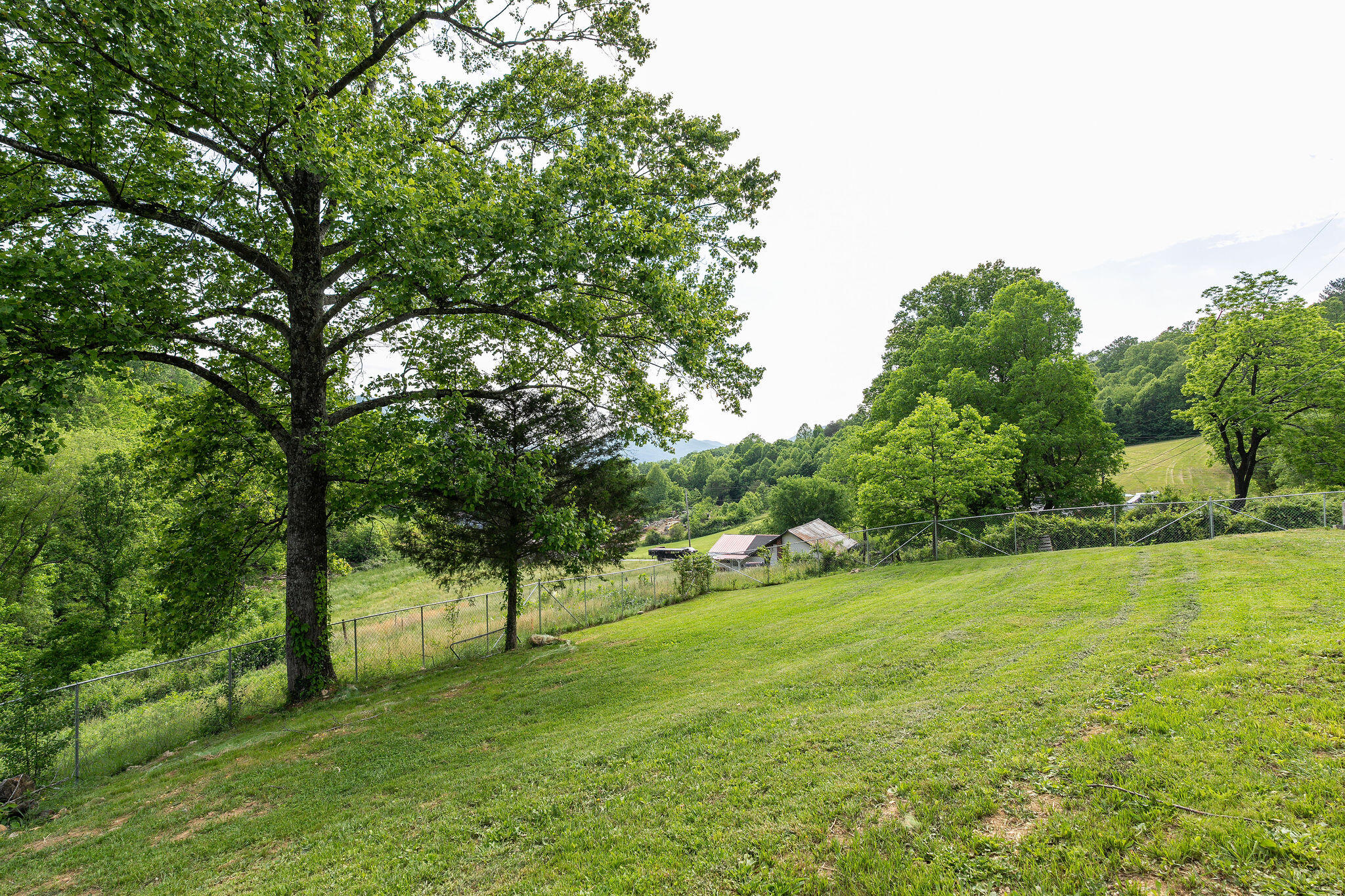 206 Stout Hollow Road Hampton, TN 37658 - Photo 52 of 54 DSC00883