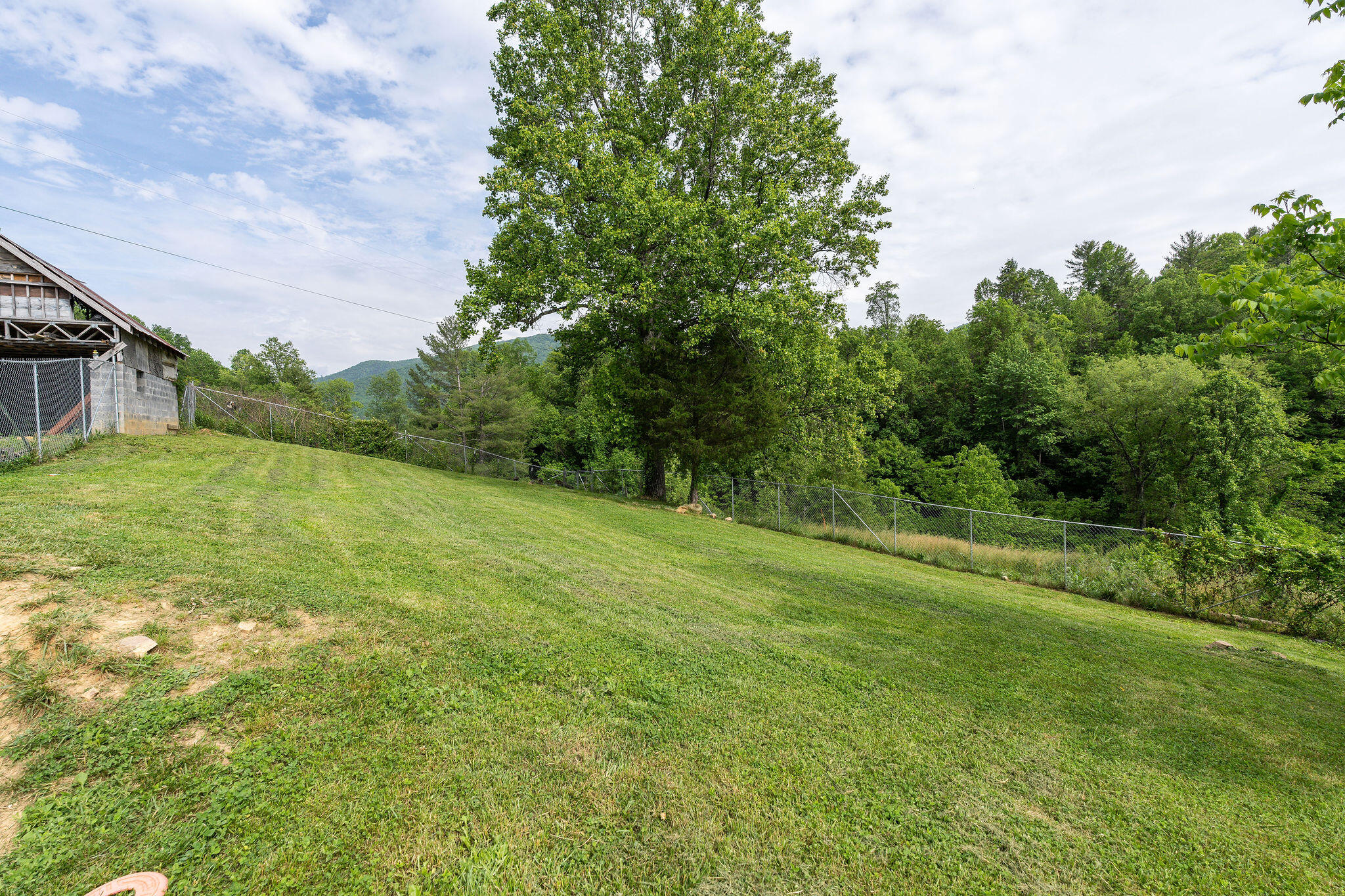 206 Stout Hollow Road Hampton, TN 37658 - Photo 54 of 54 DSC00931