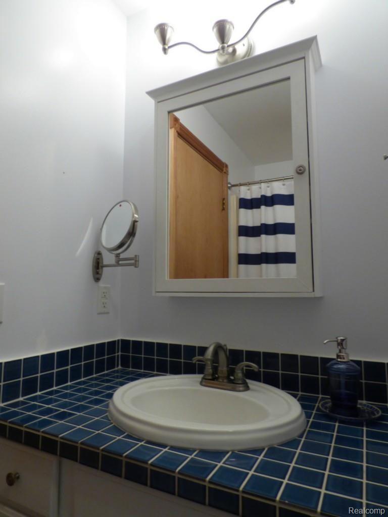 11483 Mcgregor Road Pinckney, MI 48169 - Photo 9 of 26 9 MASTER VANITY.jpg