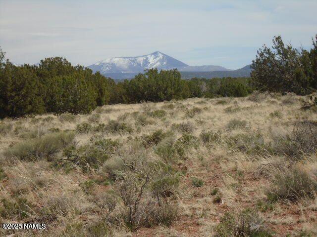 3435 East Valencia Road Williams, AZ 86046 - Photo 1 of 18 Valencia (13)