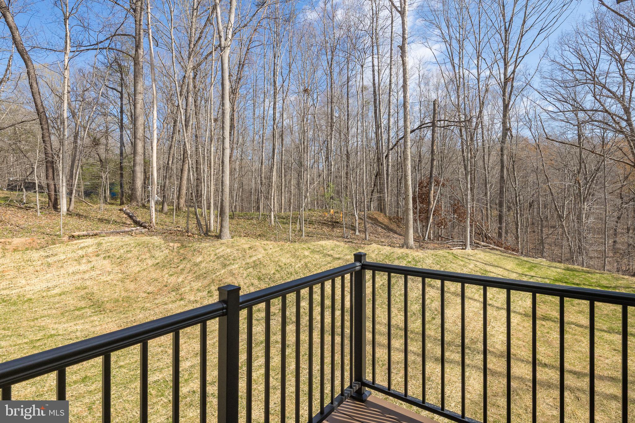 11117 Eggbornsville Road Rixeyville, VA 22737 - Photo 54 of 76 View From Grilling Porch