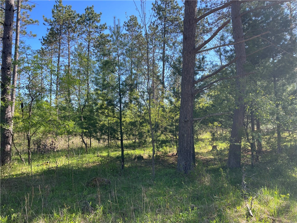 Lot 2 Murphy Boulevard Hayward, WI 54843 - Photo 10 of 10