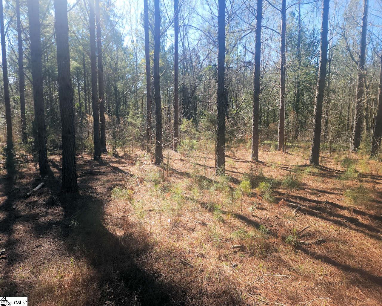Ora Road Gray Court, SC 29645 - Photo 11 of 24