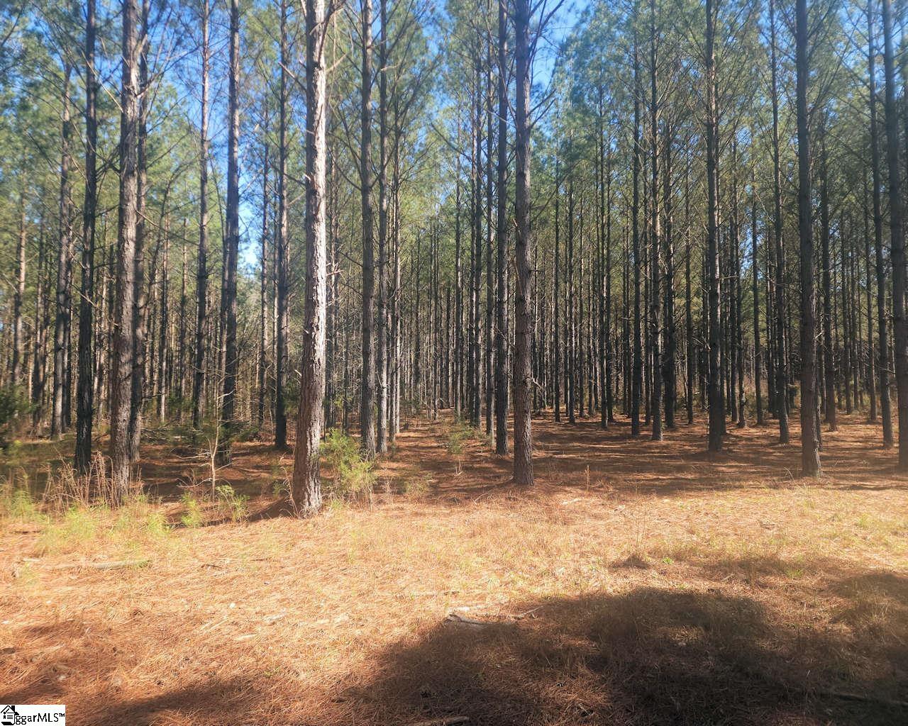 Ora Road Gray Court, SC 29645 - Photo 13 of 24