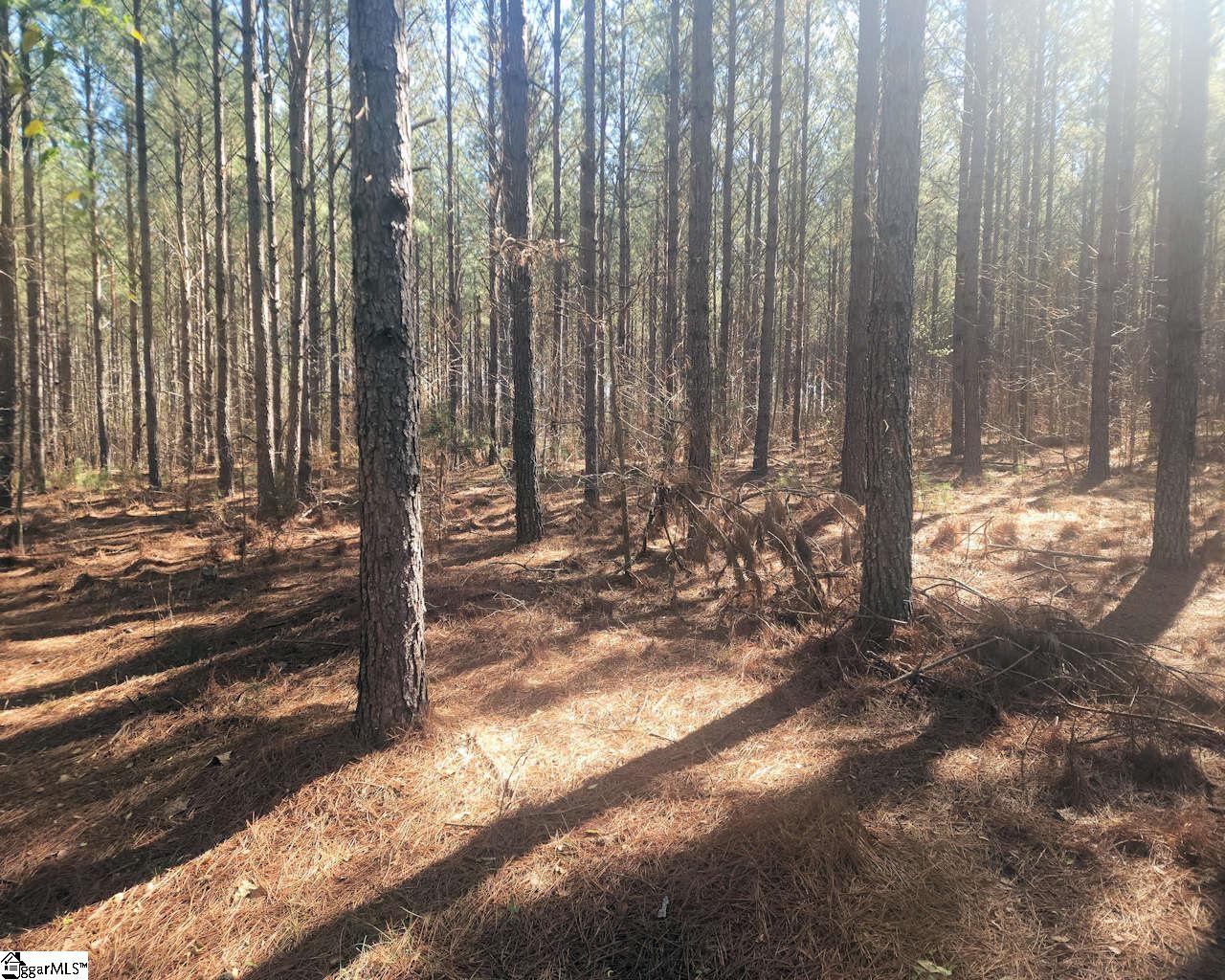 Ora Road Gray Court, SC 29645 - Photo 14 of 24