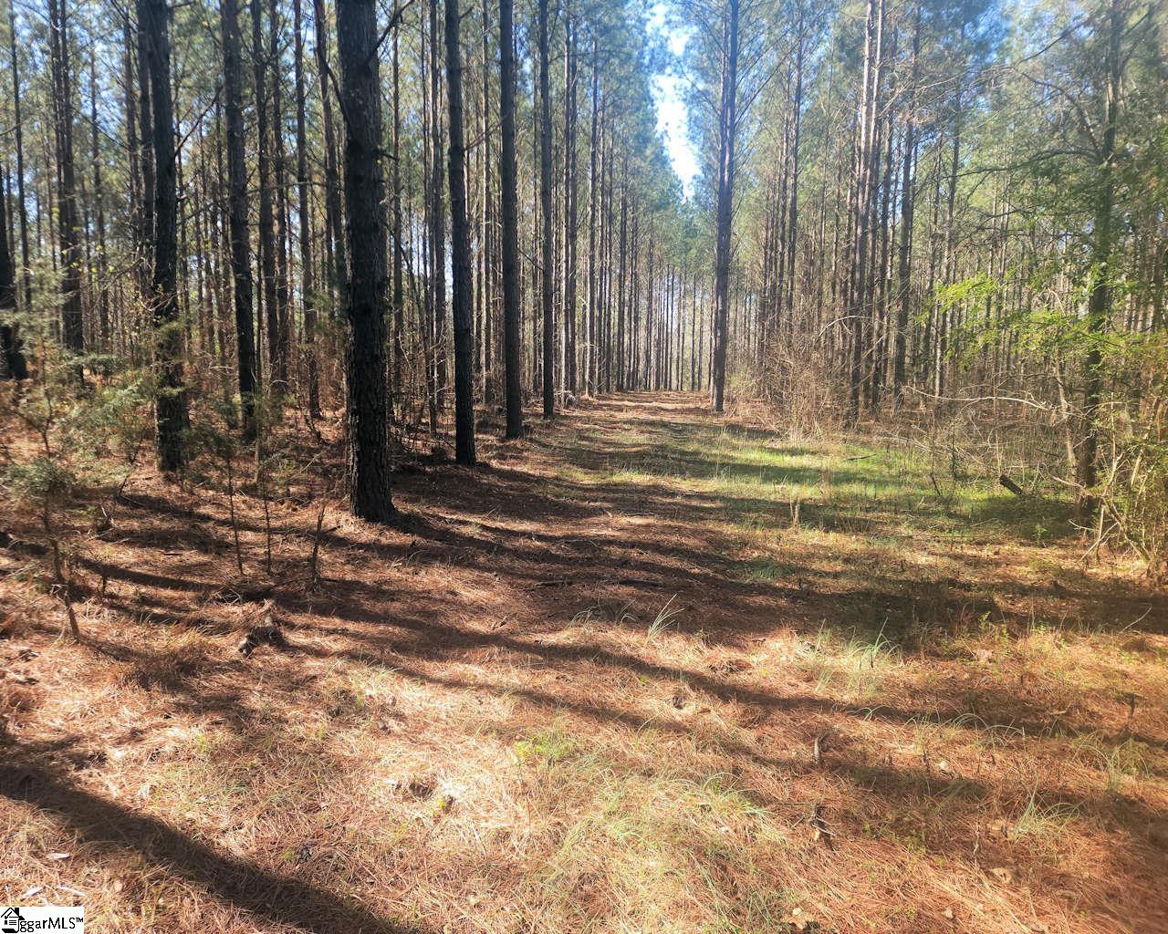 Ora Road Gray Court, SC 29645 - Photo 15 of 24