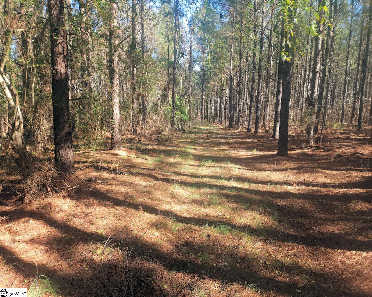 Ora Road Gray Court, SC 29645 - Photo 16 of 24