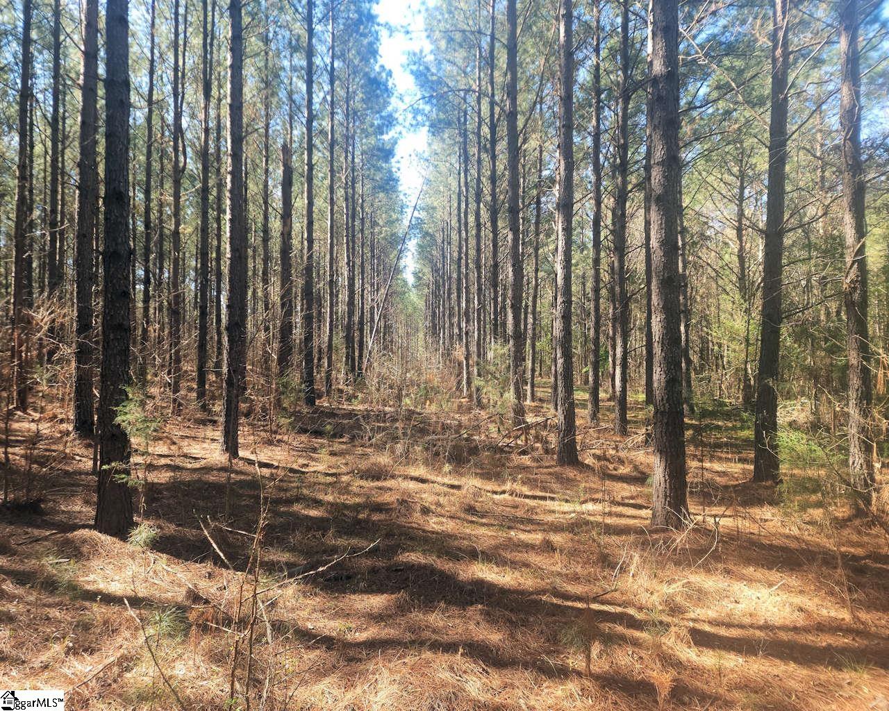 Ora Road Gray Court, SC 29645 - Photo 17 of 24