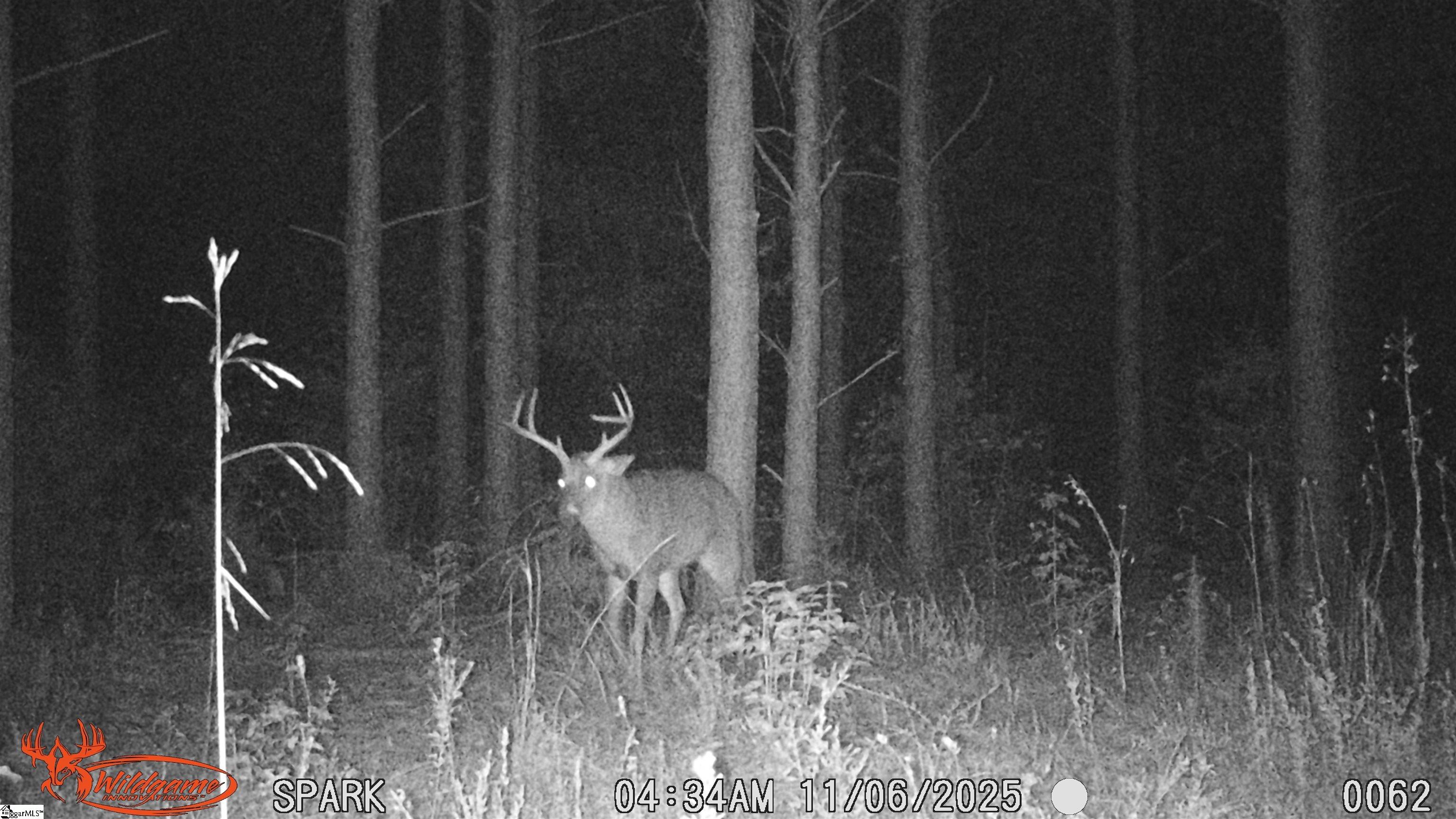 Ora Road Gray Court, SC 29645 - Photo 18 of 24