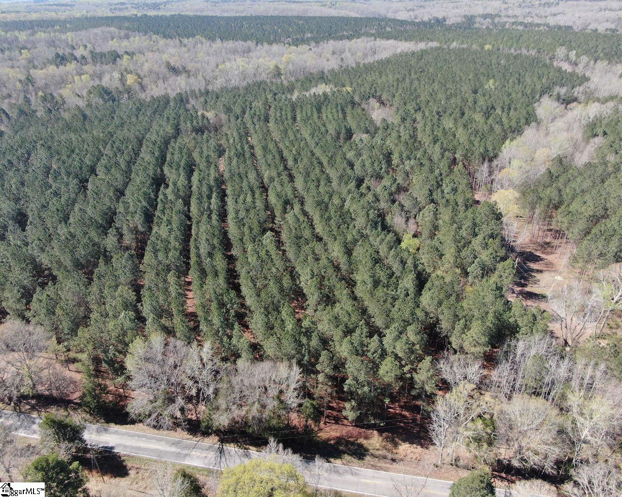 Ora Road Gray Court, SC 29645 - Photo 20 of 24