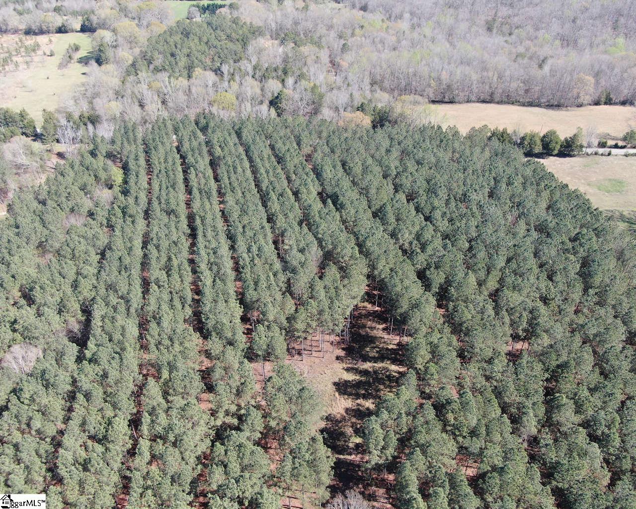 Ora Road Gray Court, SC 29645 - Photo 21 of 24