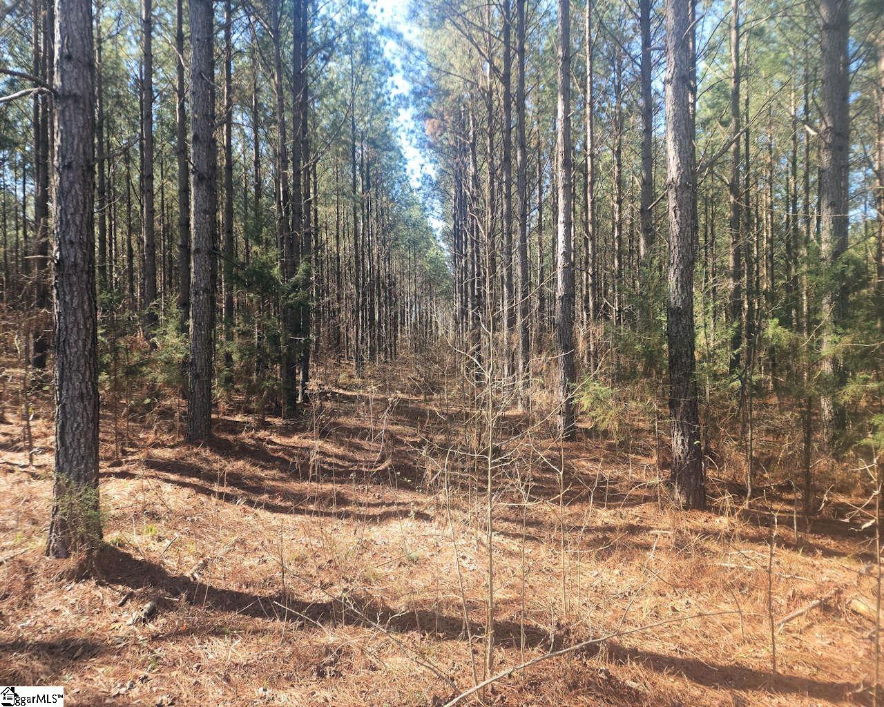 Ora Road Gray Court, SC 29645 - Photo 4 of 24