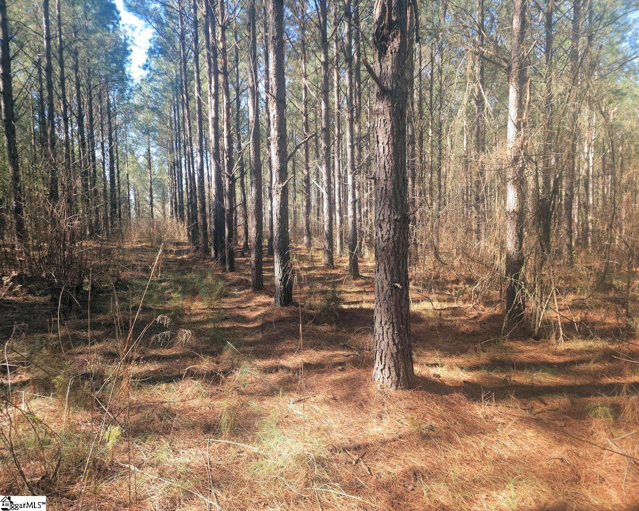 Ora Road Gray Court, SC 29645 - Photo 5 of 24