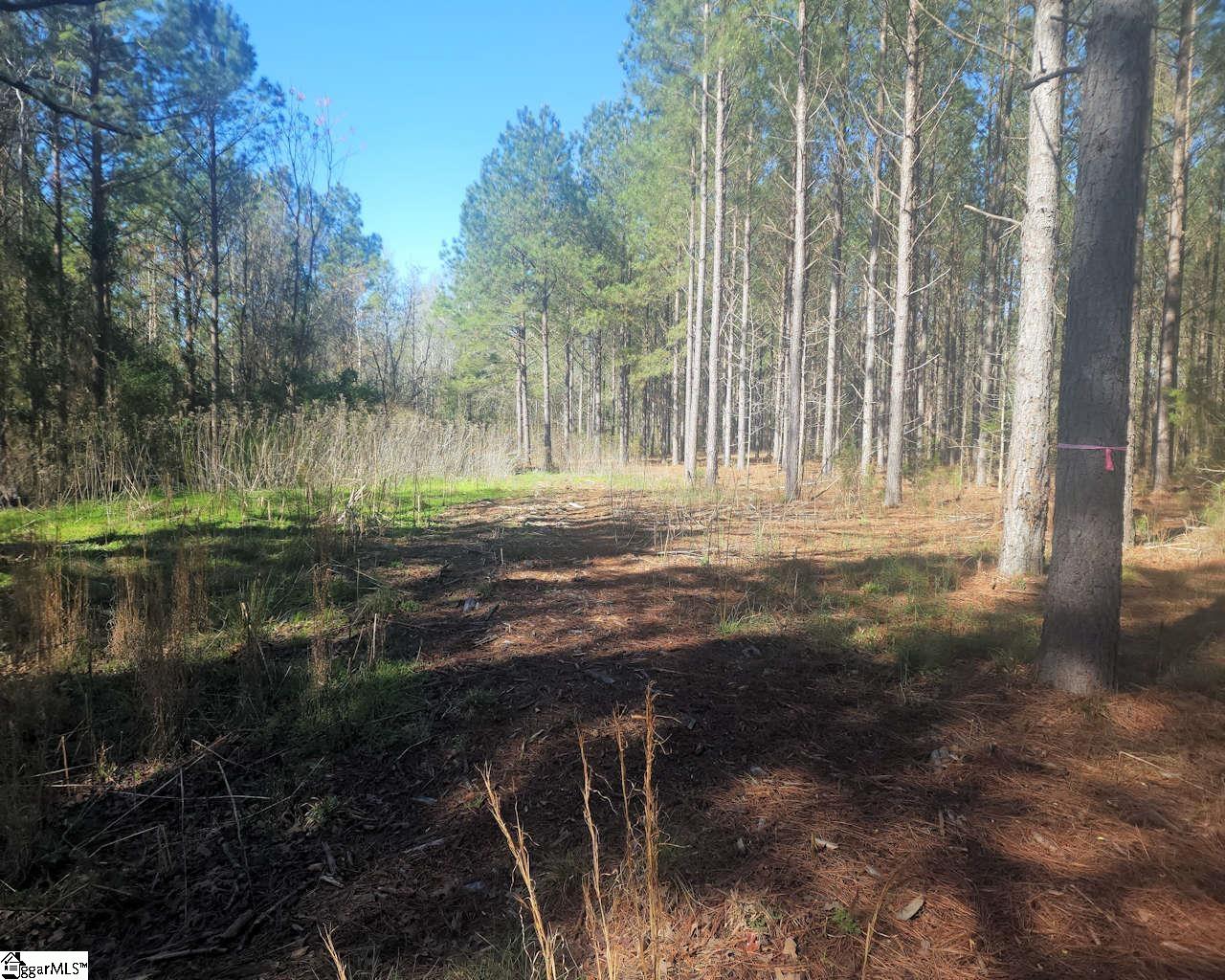 Ora Road Gray Court, SC 29645 - Photo 6 of 24