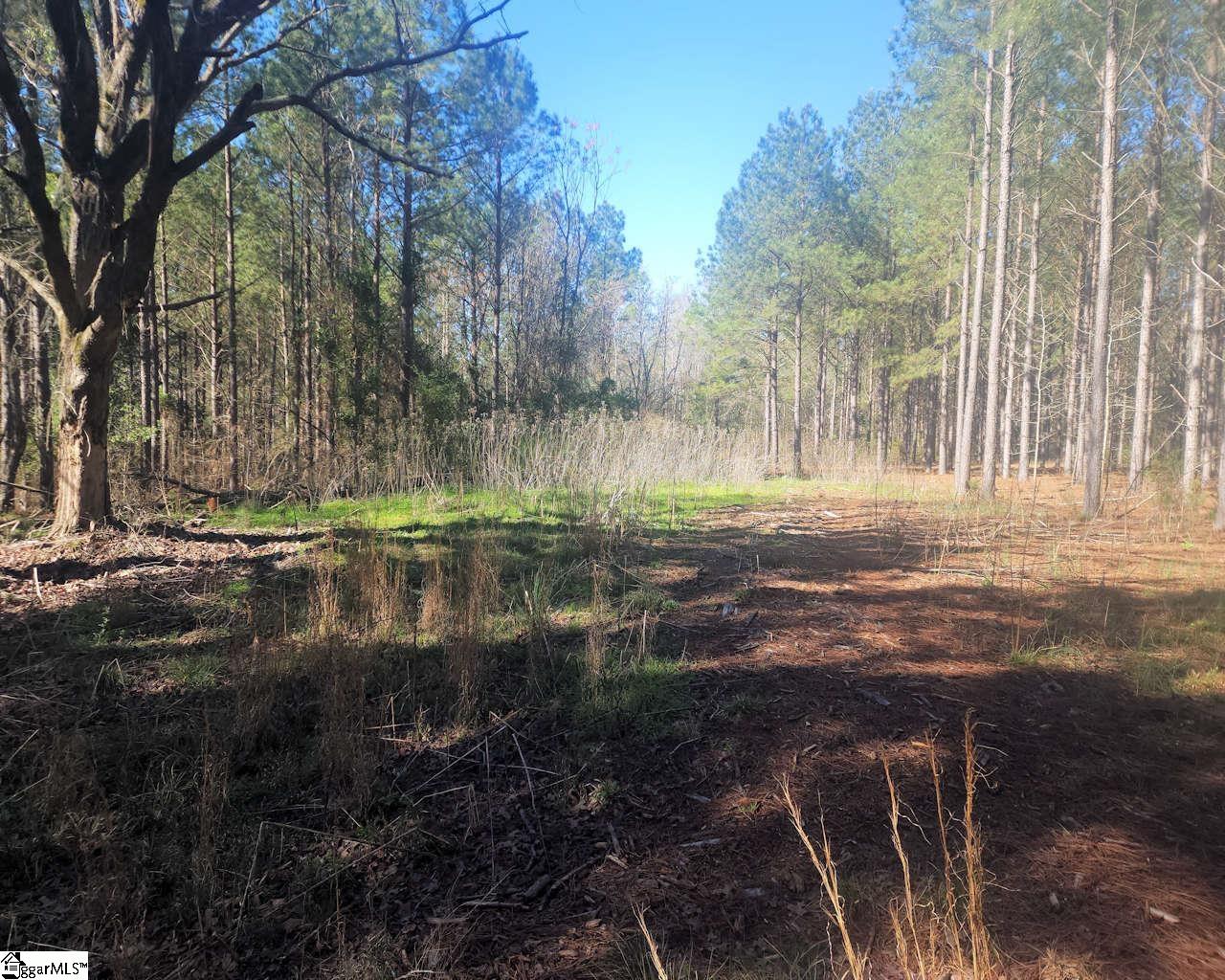 Ora Road Gray Court, SC 29645 - Photo 7 of 24