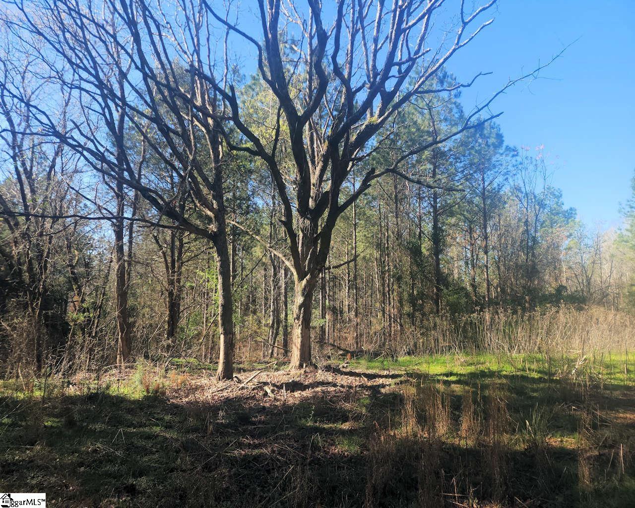 Ora Road Gray Court, SC 29645 - Photo 8 of 24