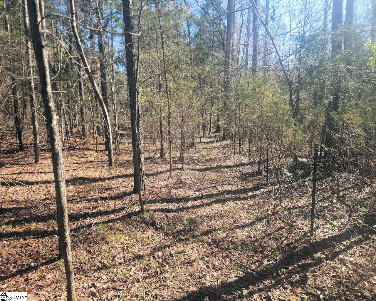 Ora Road Gray Court, SC 29645 - Photo 10 of 24