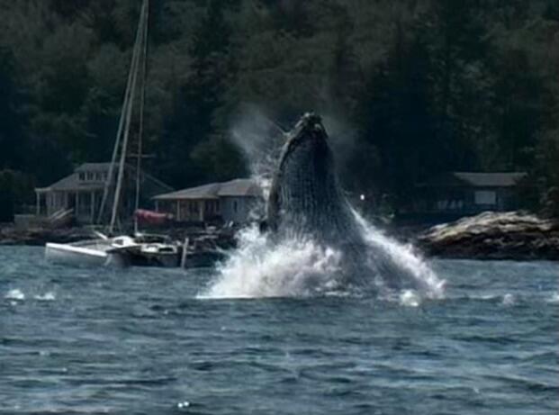 40 All Saints Road Southport, ME 04576 - Photo 42 of 42 Screenshot 2023-08-31 at 6.20.22 PM