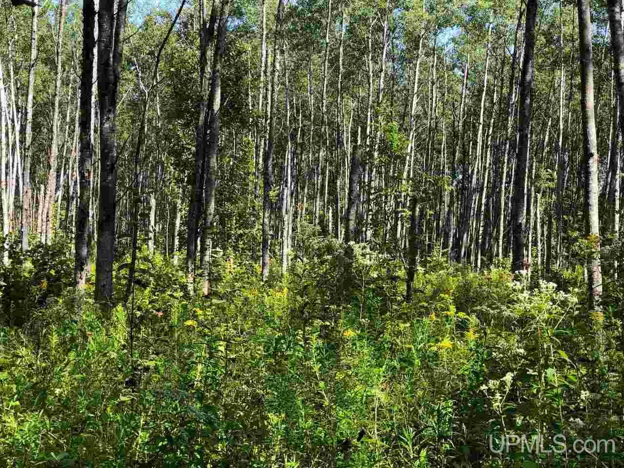 13281 Church P.1 Road Rapid River, MI 49878 - Photo 10 of 23