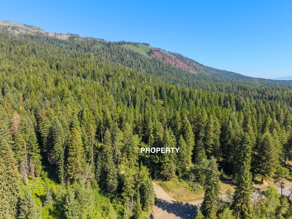 2 Arling Trail, Unit 5A45 Cascade, ID 83611 - Photo 6 of 15 View North Toward Tamarack