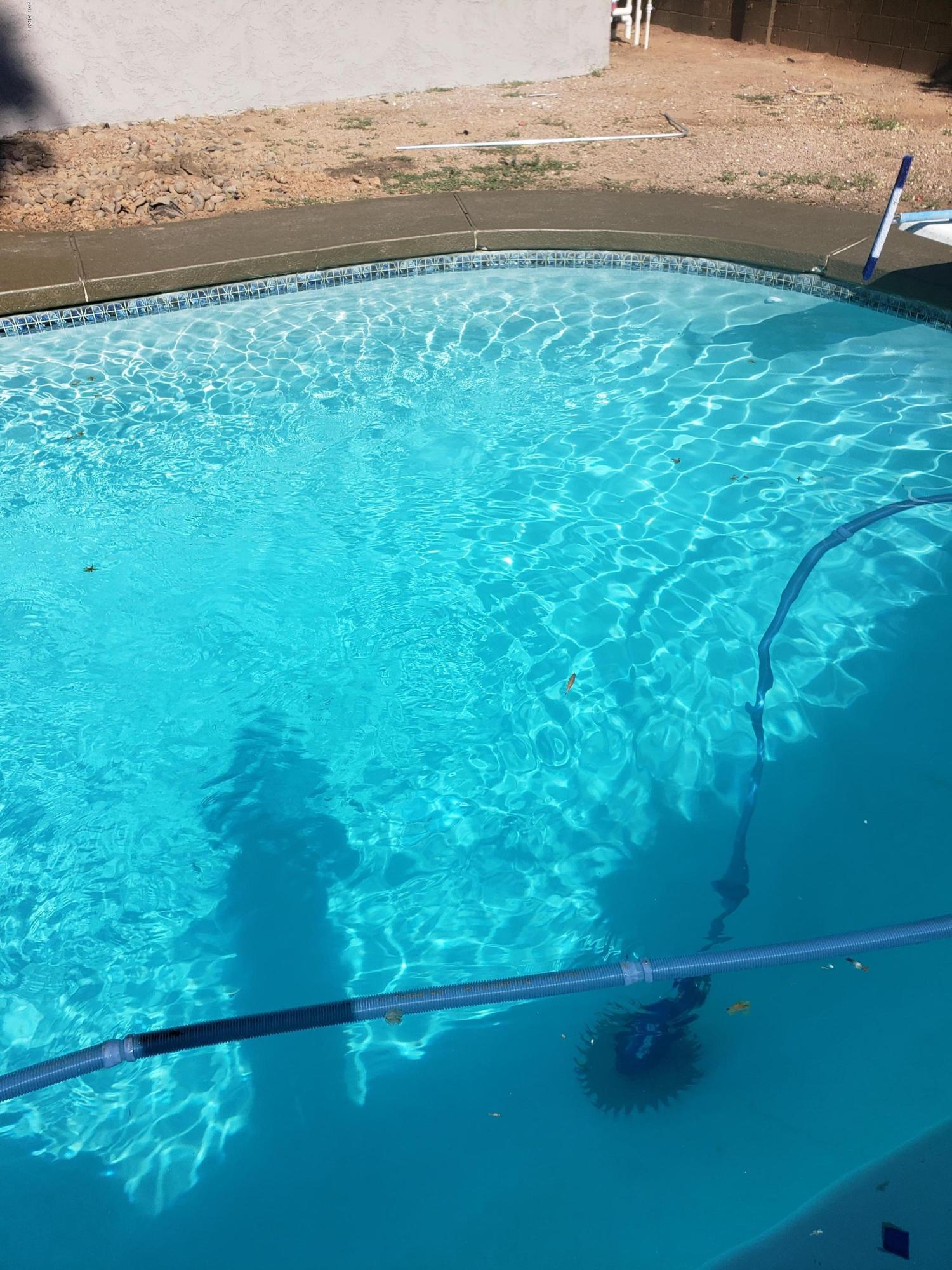 4519 East Pecan Road Phoenix, AZ 85040 - Photo 23 of 23 Pool 2