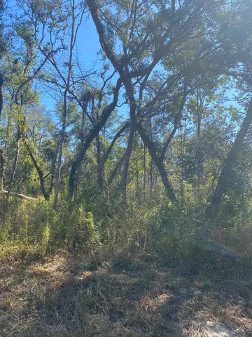 $17,300 | Lot 110 Northwest 21st Place, Jasper, FL 32052