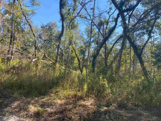 $17,300 | Lot 110 Northwest 21st Place, Jasper, FL 32052