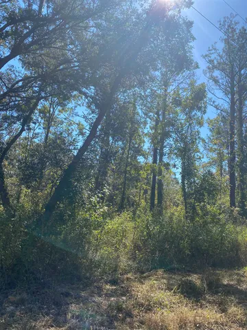$17,300 | Lot 110 Northwest 21st Place, Jasper, FL 32052