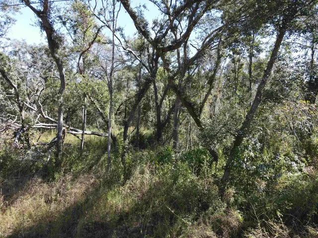 $17,300 | Lot 110 Northwest 21st Place, Jasper, FL 32052