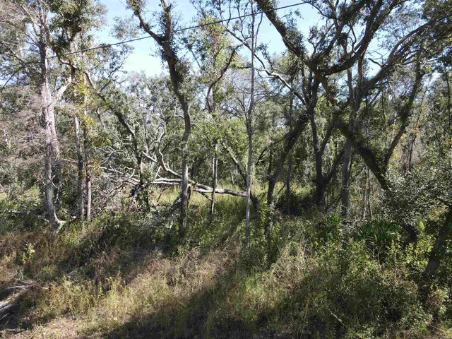 $17,300 | Lot 110 Northwest 21st Place, Jasper, FL 32052