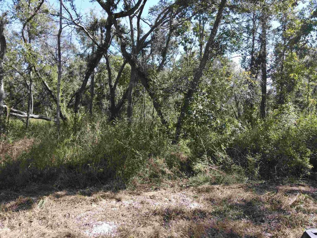 $17,300 | Lot 110 Northwest 21st Place, Jasper, FL 32052