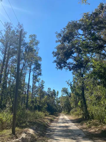 $17,300 | Lot 110 Northwest 21st Place, Jasper, FL 32052