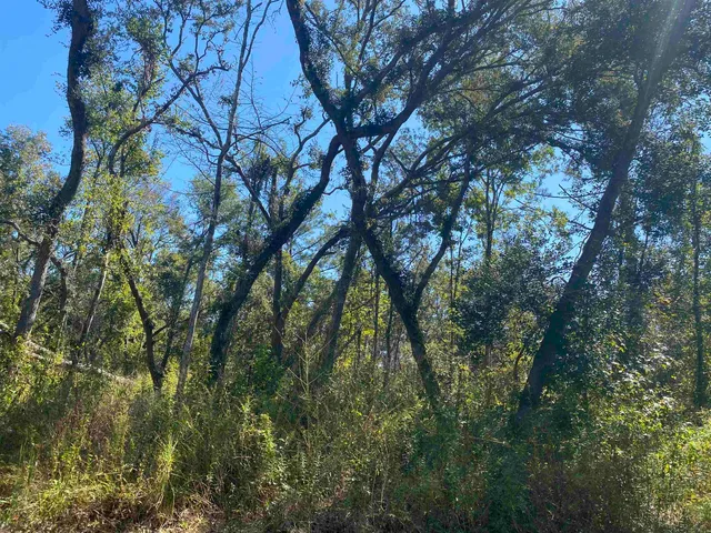 $17,300 | Lot 110 Northwest 21st Place, Jasper, FL 32052