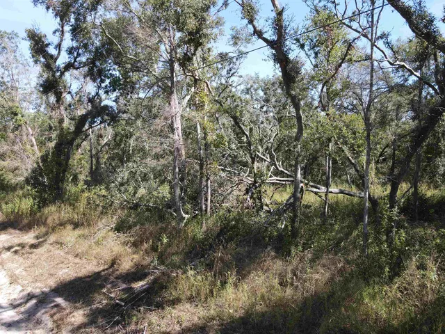 $17,300 | Lot 110 Northwest 21st Place, Jasper, FL 32052