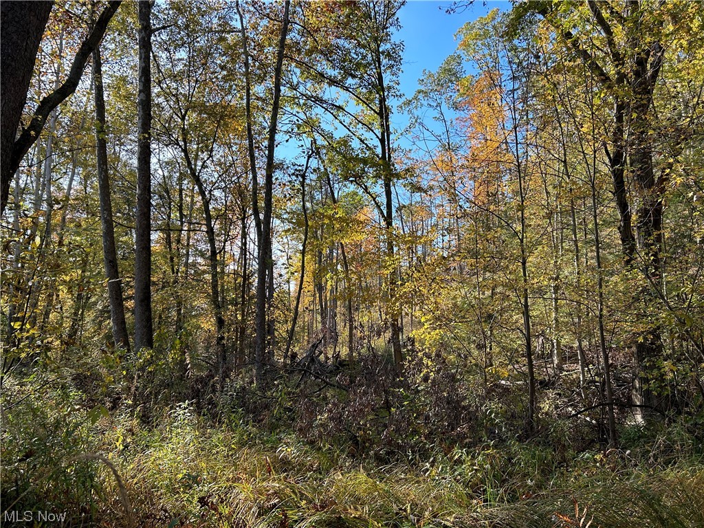 Vl South Ridge Road Conneaut, OH 44030 - Photo 18 of 35 View of local wilderness