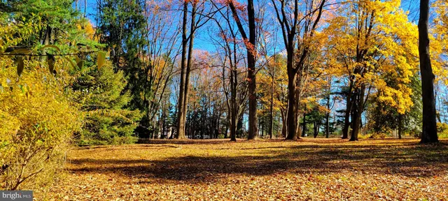 a view of a backyard of the house