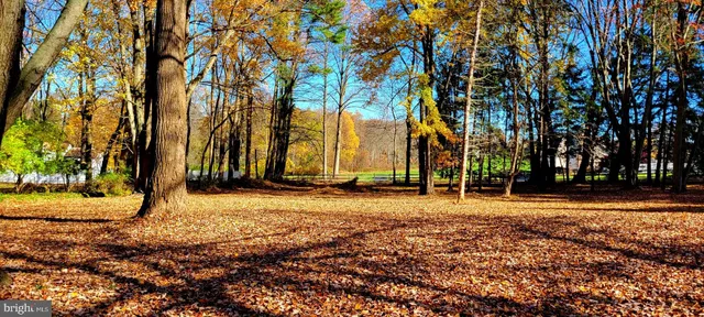 a backyard of a house with trees