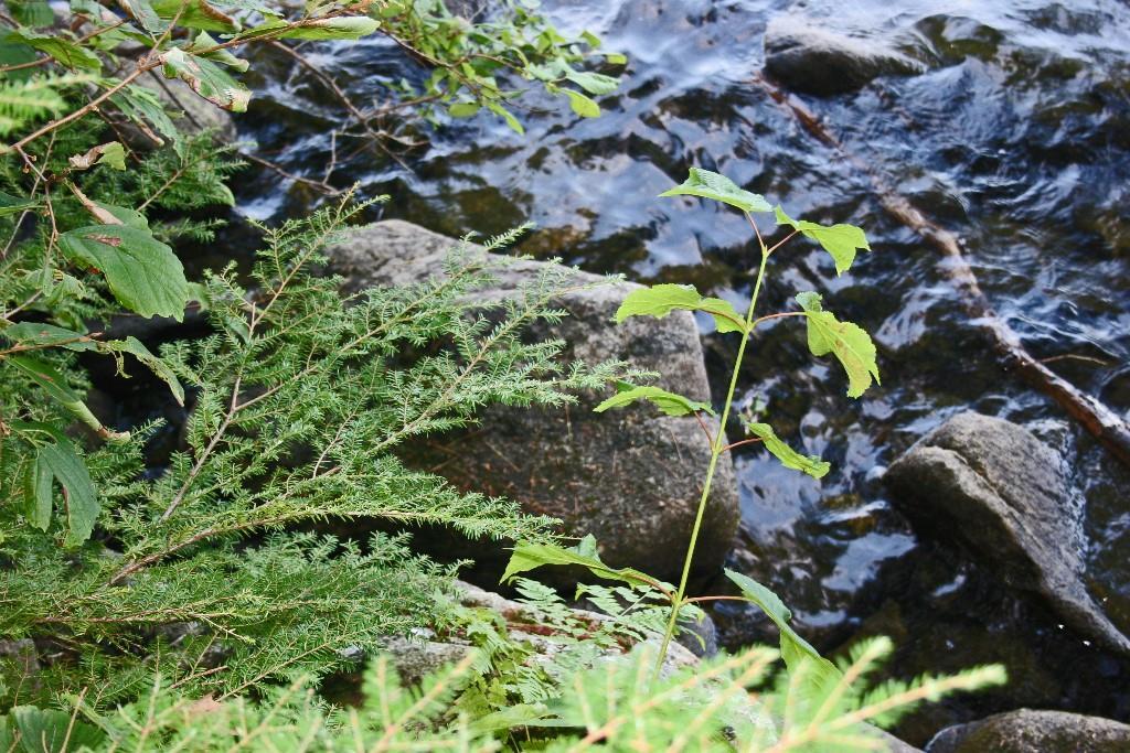 89 Fellows Farm Road Fayette, ME 04349 - Photo 15 of 23 Photo