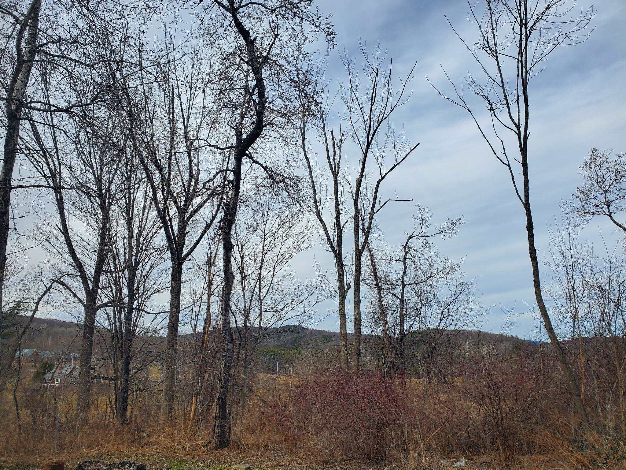 189 Dutton District Road Springfield, VT 05156 - Photo 4 of 19