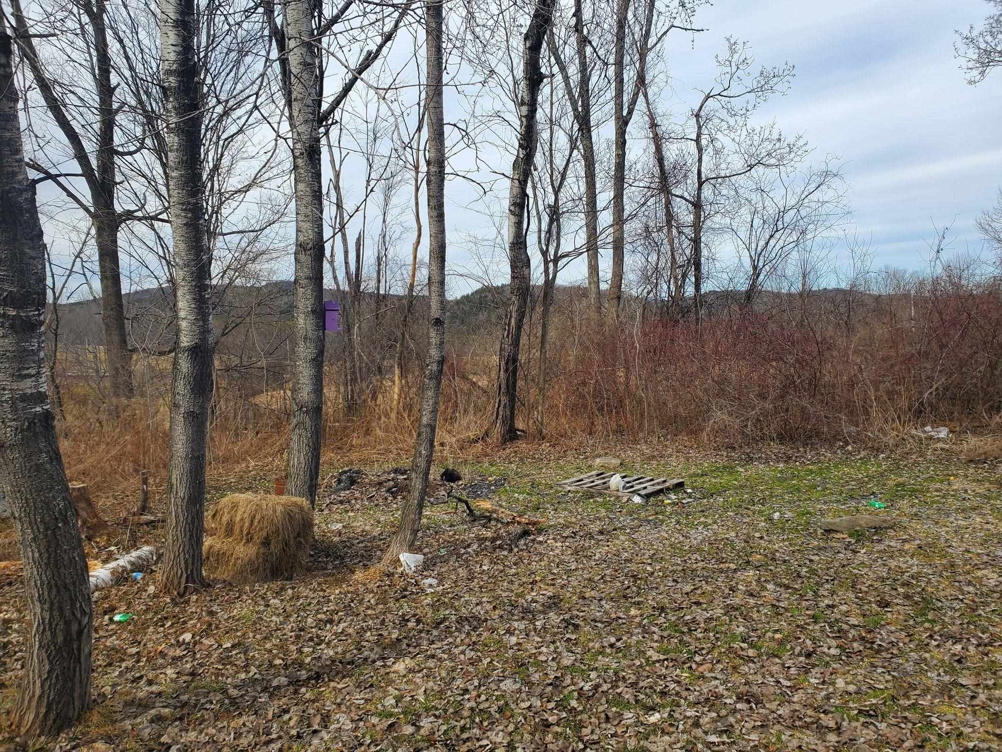 189 Dutton District Road Springfield, VT 05156 - Photo 5 of 19