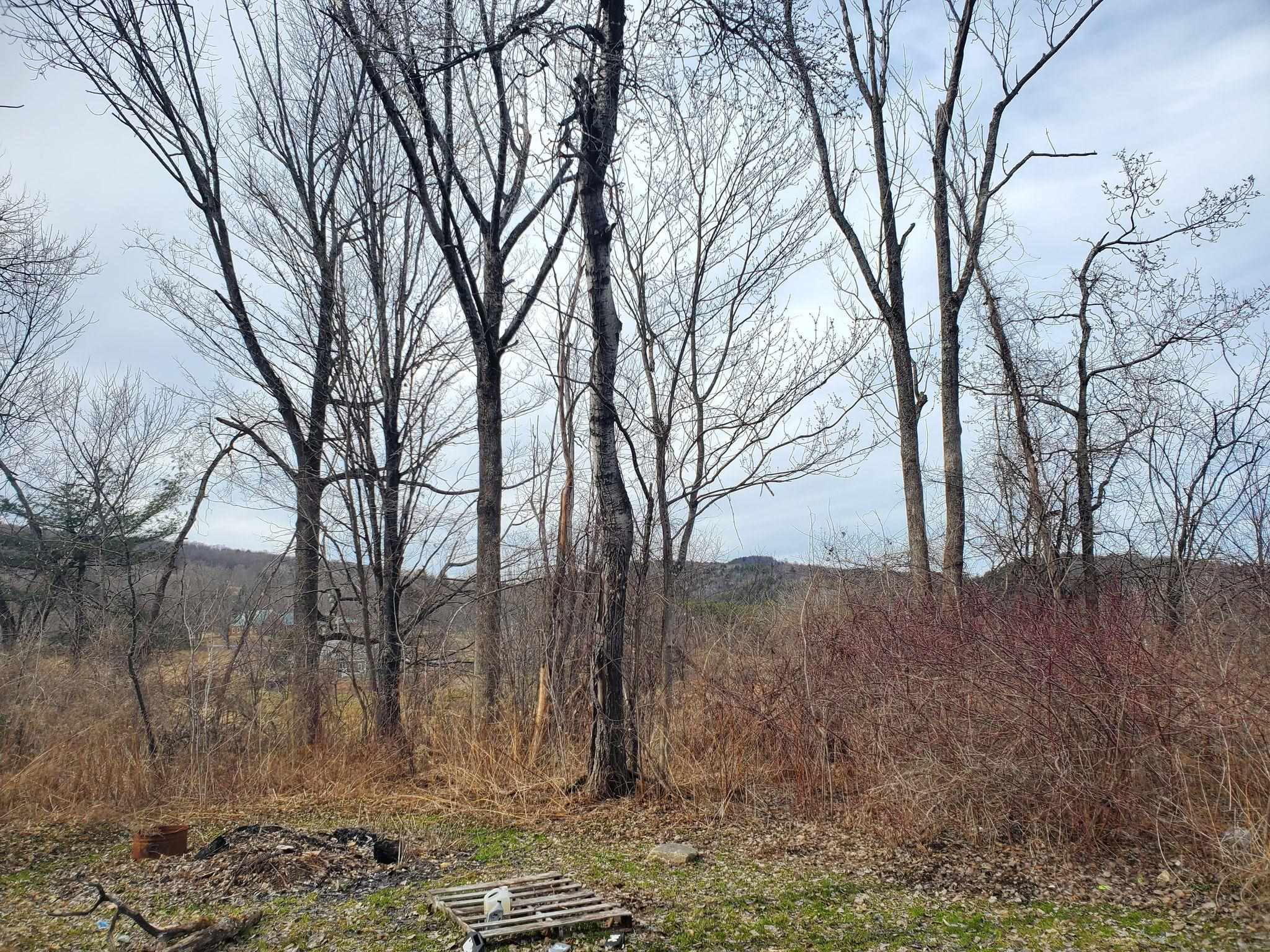 189 Dutton District Road Springfield, VT 05156 - Photo 6 of 19