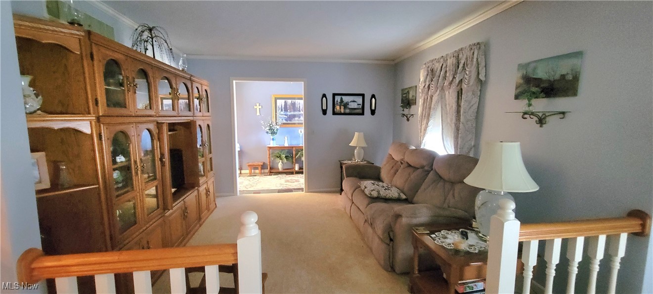 5353 Scott Road Stockport, OH 43787 - Photo 19 of 37 Gallery Image 19