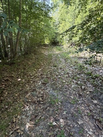 0 Zoar Road Rowe, MA 01367 - Photo 21 of 25 Gallery Image 21