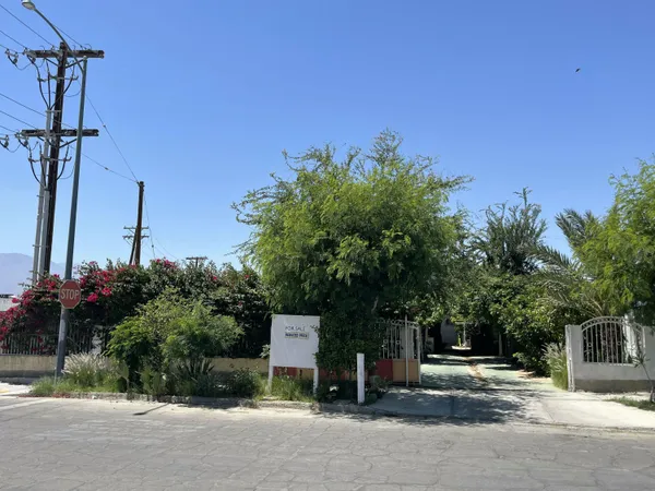 a view of trees and bushes