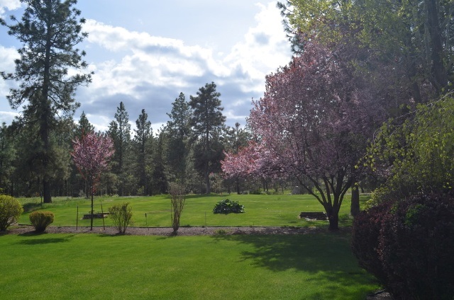 225 West Viewmont Road Spokane, WA 99224 - Photo 18 of 19
