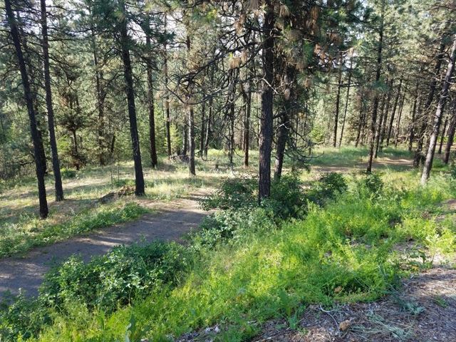 225 West Viewmont Road Spokane, WA 99224 - Photo 19 of 19